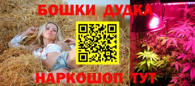 мяу мяу мука Новозыбков