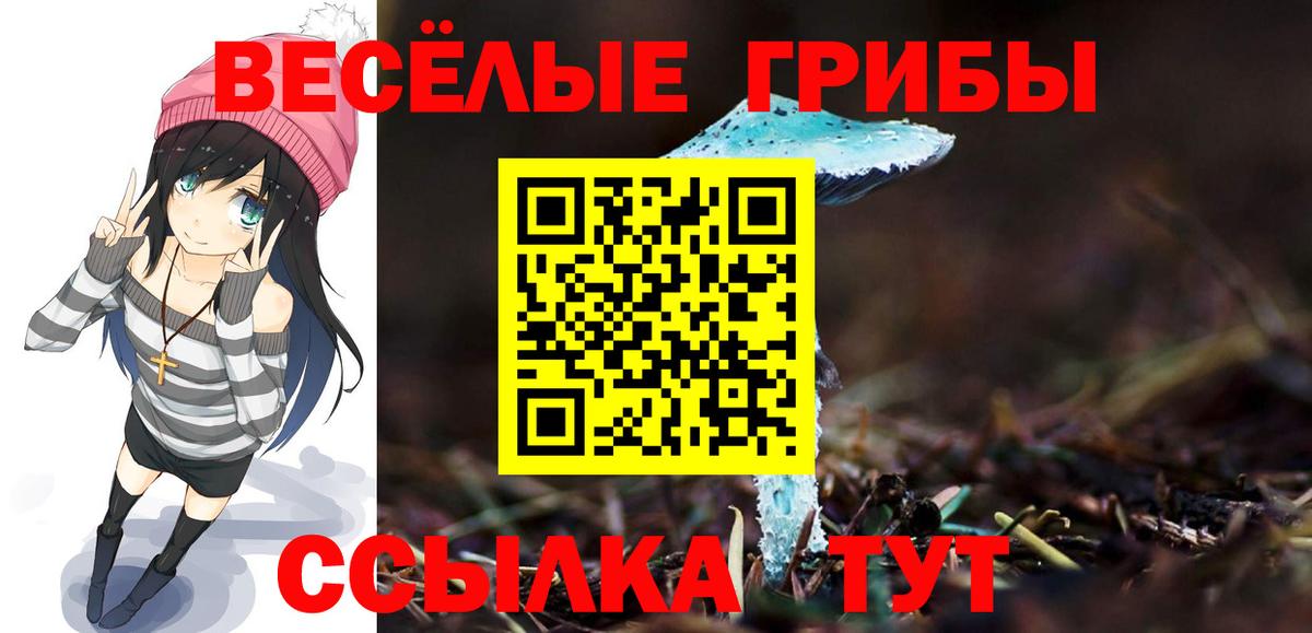 Псилоцибиновые грибы Psilocybine cubensis Чебаркуль